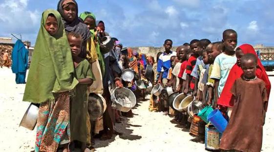 Northern Nigeria: 11m people facing acute food insecurity in six states – WEP