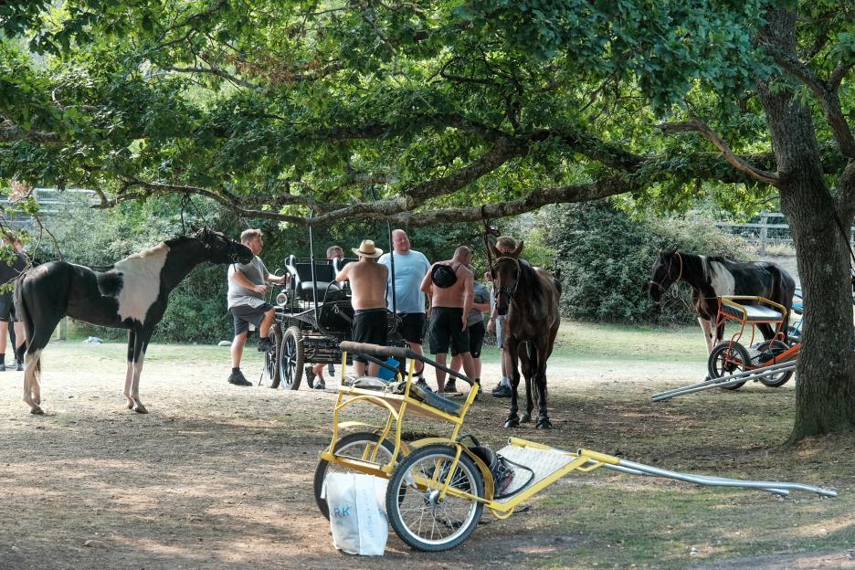 Men with horses and carriages under a tree.