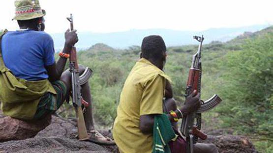 Armed herders strike again, kidnap 19 passengers in Benue