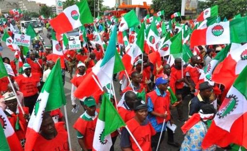 NLC faults Kano Govt’s claim on discovery of 247 ghost workers