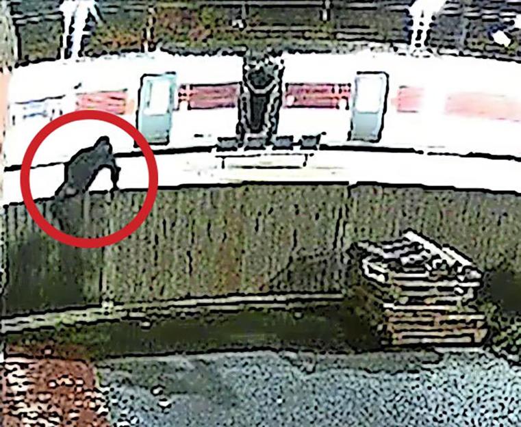 A low-quality, grainy image of a figure highlighted by a red circle, walking on a train platform.
