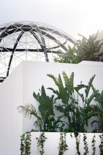 Tropical plants growing in front of a white building with a geodesic dome in the background.
