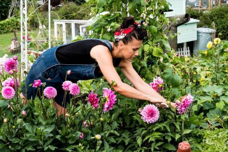 Gardeners urged to scatter 30p garnish over lawn to make their plants flourish in time for summer