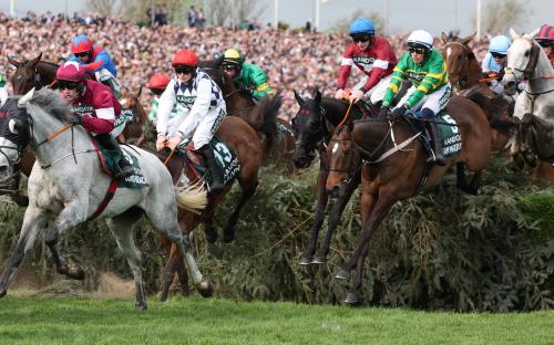 Six horses could start as Grand National favourite as fresh batch are removed and BANNED from £1million Aintree race