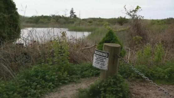 ‘Human remains’ found near Taylor Swift’s beachside mansion reigniting ‘serial killer’ fears after 12 bodies discovered