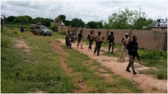 Troops neutralize bandits, recover 1,000 rustled cattles in Taraba