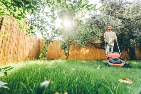 The five simple steps you must take now for a perfect summer garden lawn