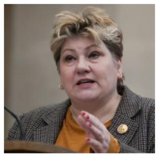 Israel badly advised on deported British Labour MPs – Thornberry