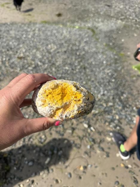 Dangerous toxic blobs that look like ‘giant chunks of earwax’ wash up on UK beaches as dog owners warned ‘stay AWAY’