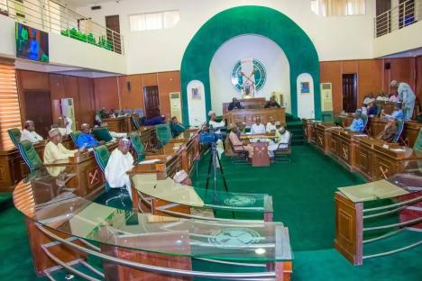 Yobe Assembly to establish diversity, equity, inclusion commission