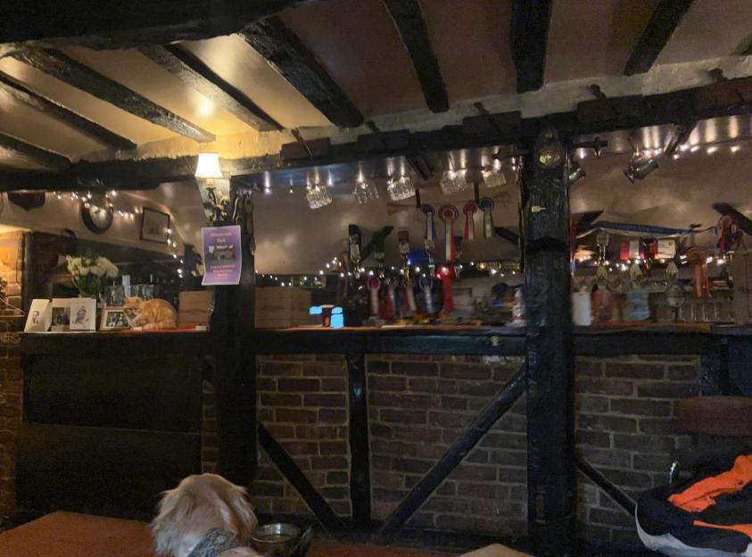 Interior of the Bell Inn in Kemsing, a quirky pub with exposed wooden beams, fairy lights, and a cat on the counter, with a dog resting on the floor in the foreground.