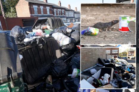 UK’s ‘third world city’ hit with ‘RAT TAX’ if residents call pest controllers to deal with disgusting vermin infestation