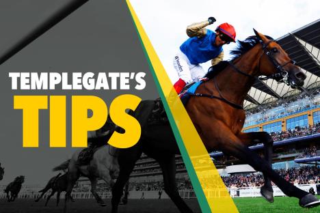 Horse racing tips: ‘Handicapper can’t keep up with him’ – Templegate’s Monday NAP