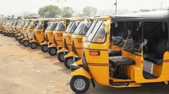 Protest rocks Delta as commercial tricycle operators reject sticker price increment