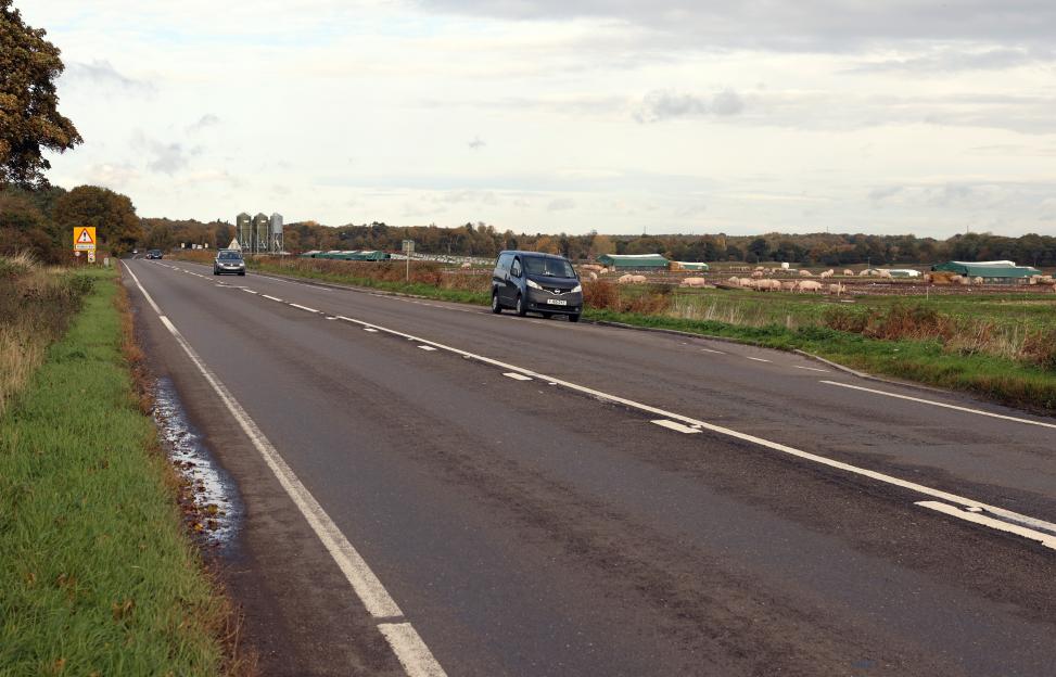 The A614 road in Nottinghamshire, with a field of pigs and farm buildings in the background.