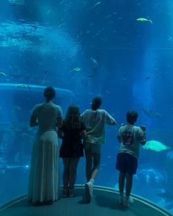 Family viewing a large aquarium tank filled with fish.
