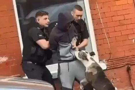Chaos as ‘XL Bully’ is killed by cops after dog is ‘released by men armed with machetes in attempt to evade police’