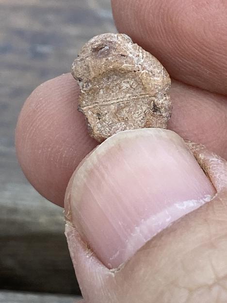 Close-up of an ancient sealing.
