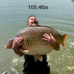 Angler holding a 105.4lb carp.