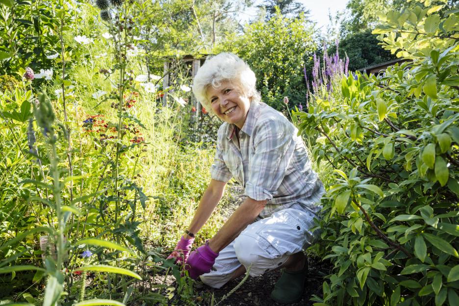 8 Genius Tips to Alleviate Gardening Aches: From £3 Gadgets to a Weed 'Eradicator' and a Clever Bulb Trick!