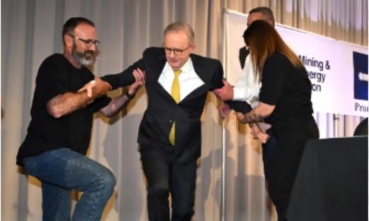 Australia PM Albanese falls off stage during election campaign event