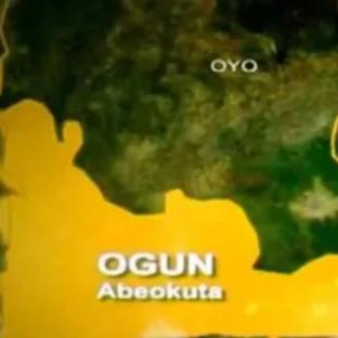 Ogun govt warns bales in forest reserves against illegal acts