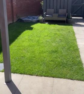 Backyard with patchy grass, bench, and comment suggesting neighbors complain to council.