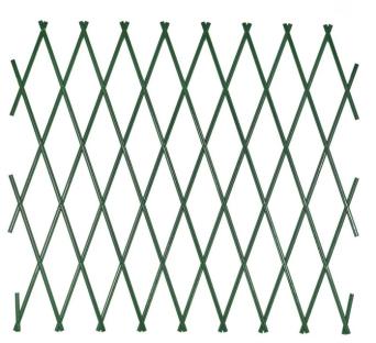 Foldable green privacy screen.