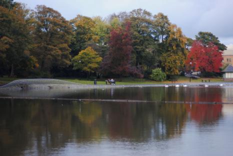 Autumn trees reflected in a calm pond in Leazes Park, Newcastle.