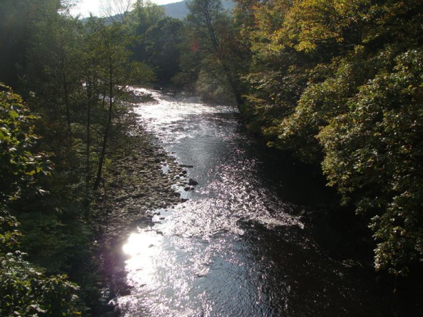 The River Taff with sunlight glinting on the water and trees along its banks.
