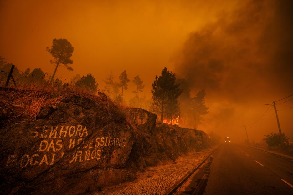 Forest fire raging near a road.
