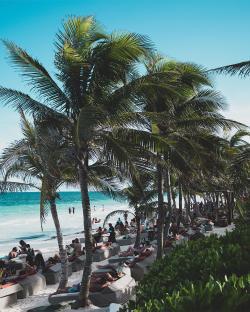 Beach club with people relaxing on lounge chairs under palm trees.