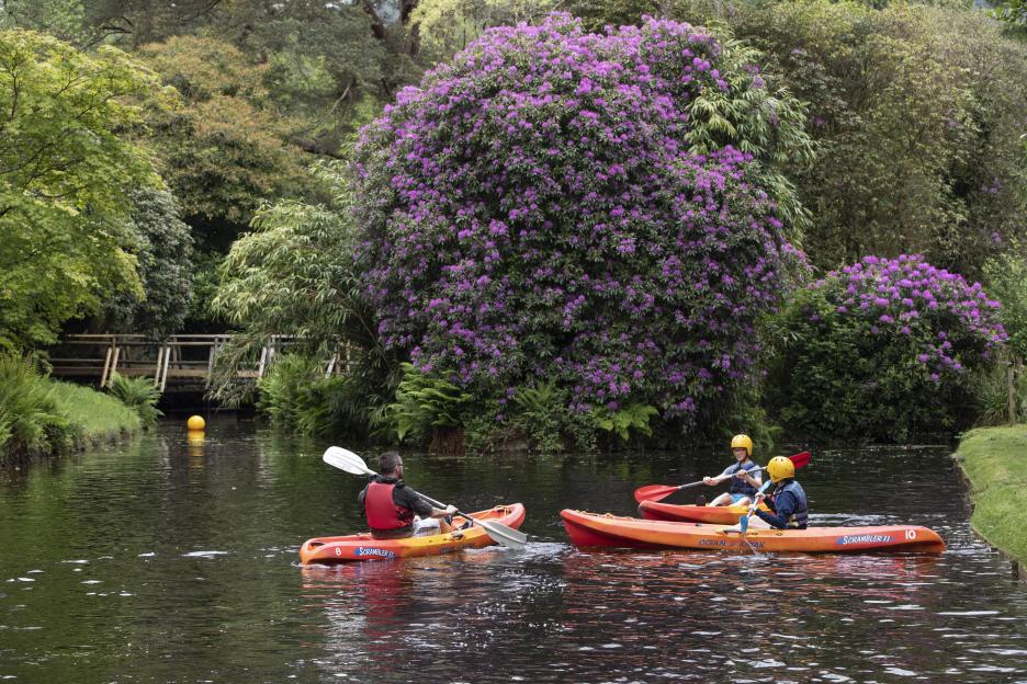 Two adults and two children kayaking on a river.