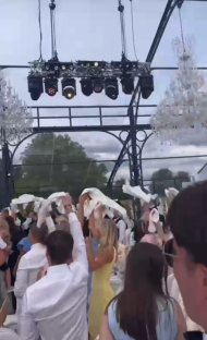 Wedding guests throwing napkins in the air.