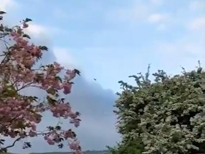 Pink and white flowering trees under a partly cloudy sky.