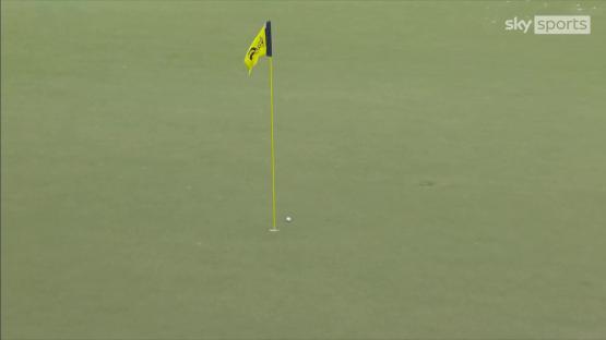 Golf ball in hole on green.