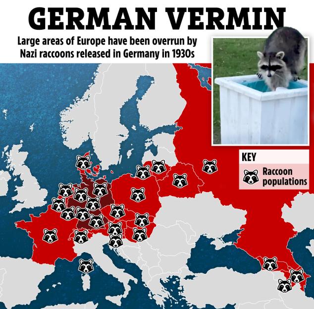Illustration of a map showing raccoon populations across Europe.