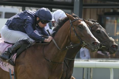‘Best in the world’ – Aidan O’Brien horse smashed for the Derby after ‘ridiculous’ Ryan Moore ride