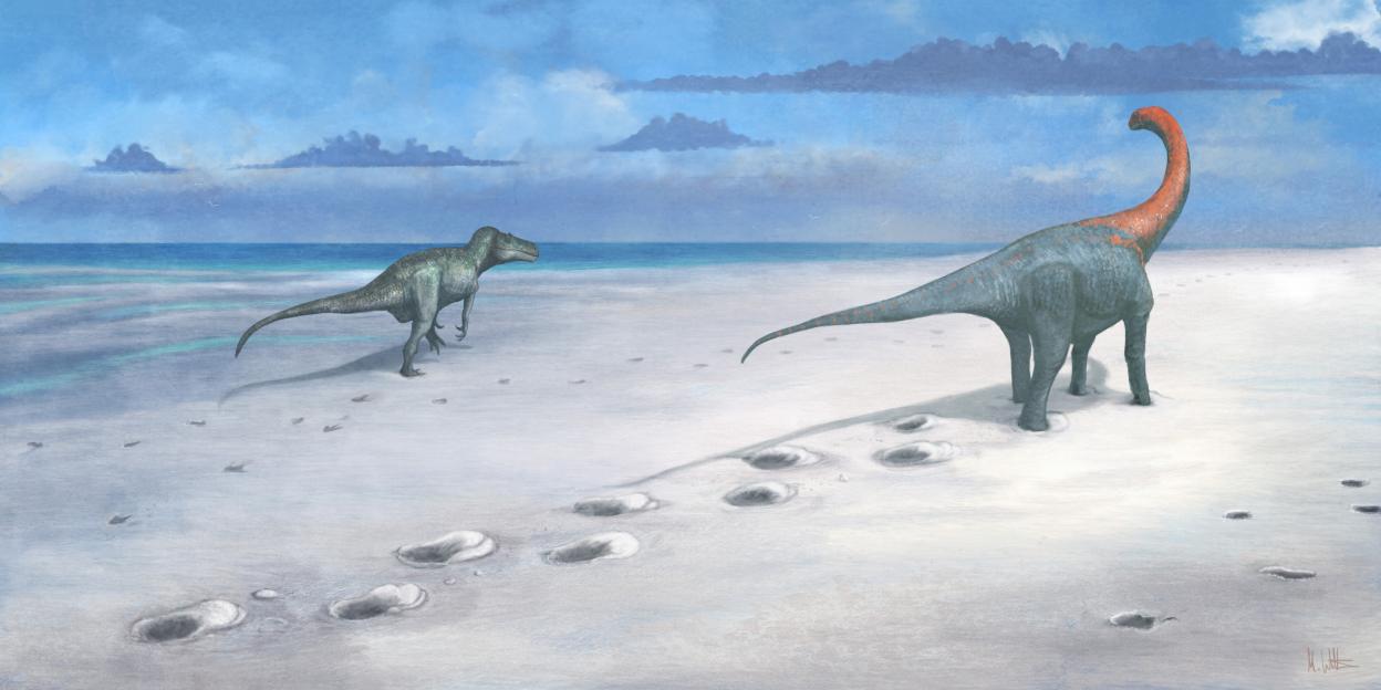 Illustration of a Megalosaurus following a Cetiosaurus on a muddy prehistoric beach.