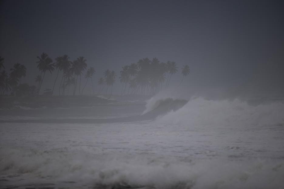 Large waves crashing on a beach near palm trees during a hurricane.