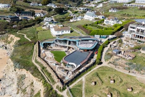 A-list star infuriates neighbours by turning coastal village into ‘Hollywood-on-Sea’ as locals say they’re ‘forced out’