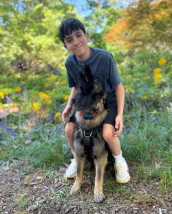 Boy sitting on a German Shepherd dog in a garden.