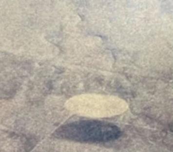 Photo showing ‘1,000ft silver UFO flying over US snapped by airline pilot’ released by infamous Pentagon whistleblower