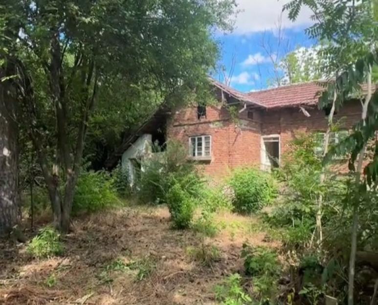 We left the UK & bought a three-bed in Bulgaria for £6k, we’ll homeschool our kids there – but the garden terrifies me