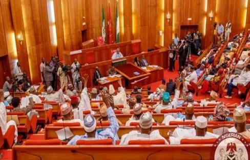 Nigerian Senate testing Open grazing law while others advance – Activist, Agberen