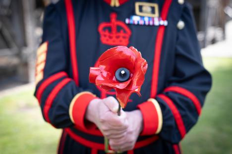 A person in a uniform holds a red metal poppy.