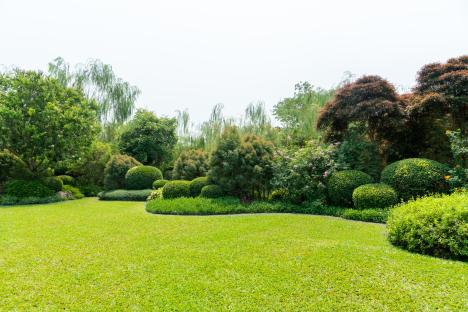 Lush green lawn with manicured hedges and trees.