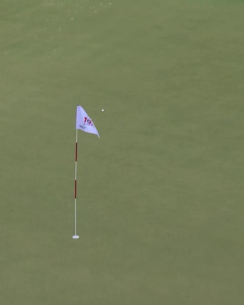 Golf ball near the hole on a green.