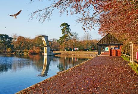 Disused diving board and birds at Coate Water park.