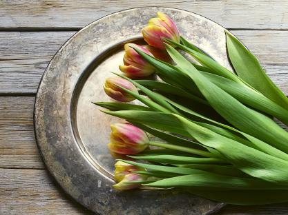 Tulips on a vintage tray.